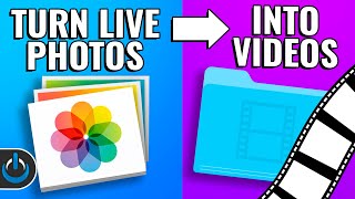 Turn LIVE PHOTOS into VIDEOS! - iPhone, iPad, and Mac