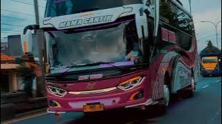 Story WhatsApp 30detik-versi bus STJ||dj_tak bosan-bosan memandangmu