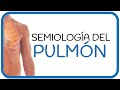 SEMIOLOGÍA PULMONAR - motivos de consulta, examen físico, ruidos auscultatorios y patologías
