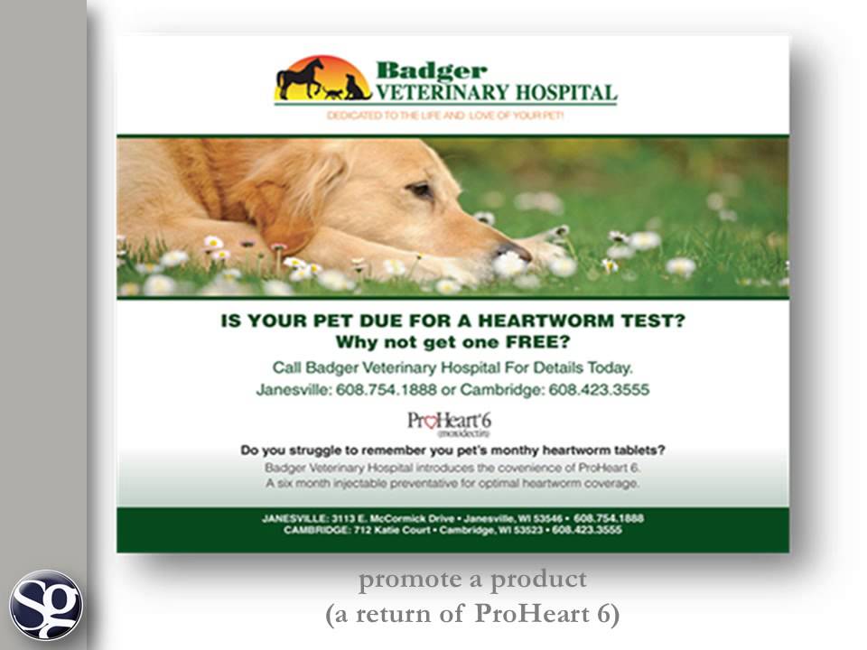 Spaulding Group creative portfolio