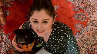 Olivias Liver - Intro