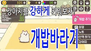 개밥바라기-강아지키우기(1) screenshot 4