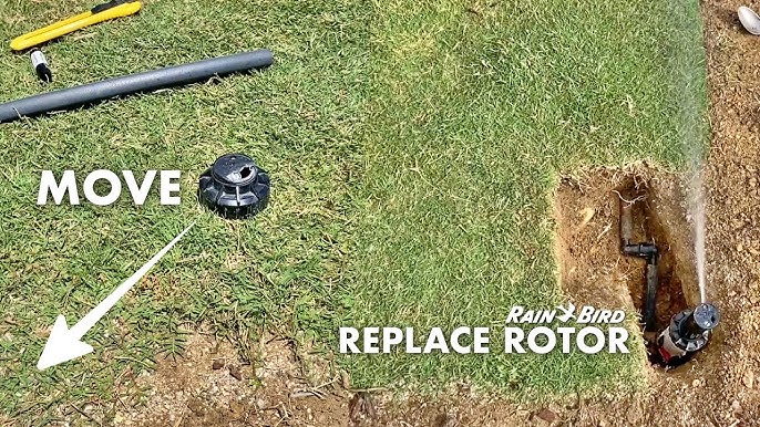 How to Install Rain Bird Sprinkler Head: Easy Step-by-Step Guide