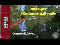 Русская рыбалка 4 - река Северский Донец - Ёрш трофейный у станицы
