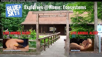 Explorers @Home 3rd grade - Ecosystems