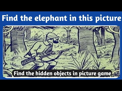 Find hidden objects in picture || Hidden objects puzzle 1