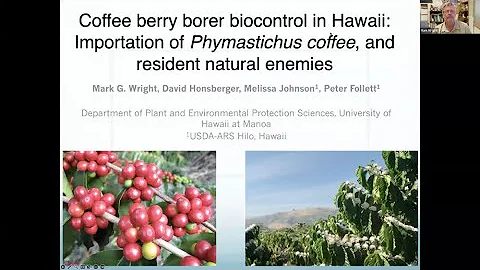 CBB biocontrol in Hawaii: Importation of Phymasticus coffea, and resident natural enemies