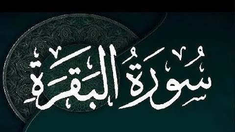 Okasha Kameny  سورة البقرة  برواية البزي عن ابن كثير المكي .. الشيخ عكاشة كميني حفظه الله