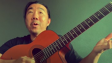 “Minor Swing” Easy Solo w/ Chromatic Cliches- Gypsy Jazz Guitar Lesson- FREE TABS & Practice Video