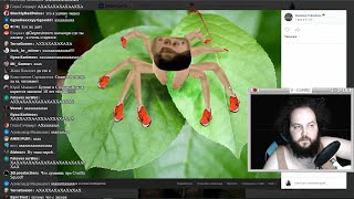 видео: Бэбэй снова смотрит фотолупы Деградача картинка: Бэбэй снова смотрит фотолупы Деградача