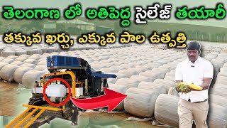 Biggest Silage Plant in Telangana |8332000075 | తక్కువ ఖర్చు, ఎక్కవ పాల ఉత్పత్తి