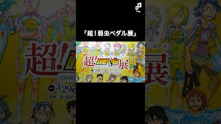 200点を超える原画がズラリ!「超!弱虫ペダル展」