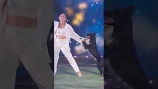 this dancing dog stole the show