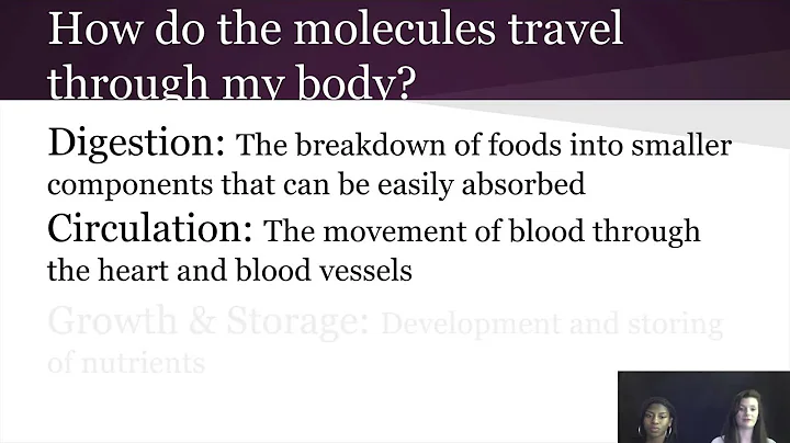 What is in your food? by Hannah Laws and Brianna L...