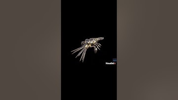 How to Create A Simple Particle Disintegration FX in Houdini 19.5 #shorts