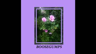 Boosegumps - Forever