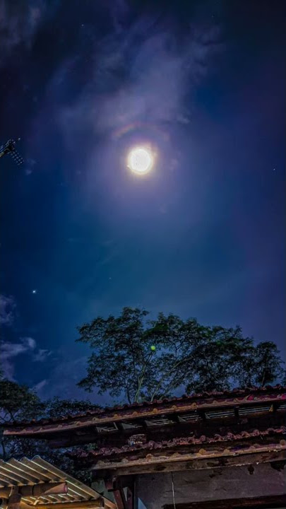 STORY WA KEREN OVERLAY LAGU SALAM TRESNO KANEE