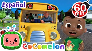 Las ruedas del bus | CoComelon - It's Cody Time en Español | Canciones Infantiles y de Cuna