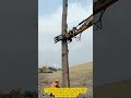 Worker Saws Down a Big Tree to Make Construction Easier#workers #works #farming