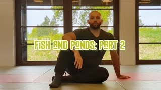 Fish and Ponds Part 2