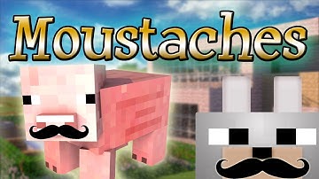 Minecraft Mods - Moustaches and More 1.4.2 Review and Tutorial