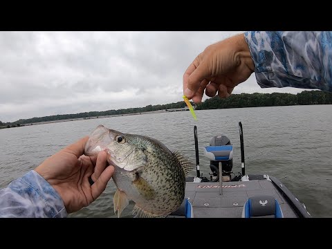 Catching CRAPPIE In The DOG DAYS Of Summer! (Catch and CLEAN!) Presented by @midwayusa