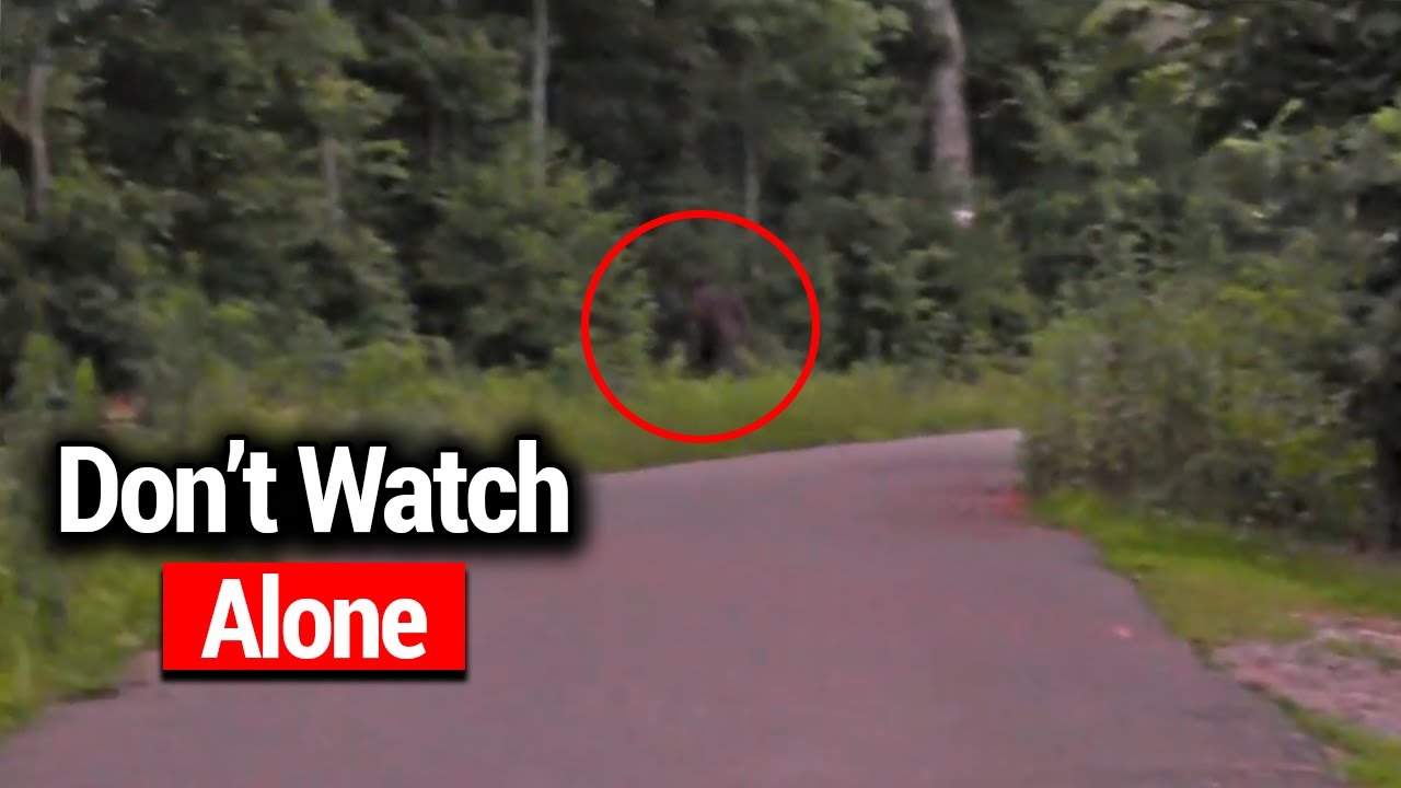 18 Most Disturbing Bigfoot Encounters That Will Haunt You