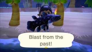 Catching a Coelacanth | Animal Crossing New Horizons