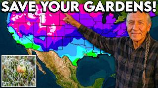 Details Do These 10 Things In Your Garden BEFORE the First Freeze of 2026 Hits Your State News
