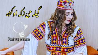 GEELA | poshto New song 2024 | Gul Panra |poshto songs