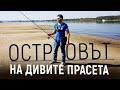 Островът на ДИВИТЕ прасета! Риболов на щука  река Дунав част 1 ЛОВ И РИБОЛОВ