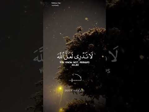 لا تدري لعل الله يحدث بعد ذلك أمرا رعد الكردي سورة الحديد Surah Al Hadid