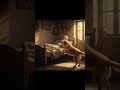 ​A Tale of True Friendship: The Old Man and His Loyal Dog