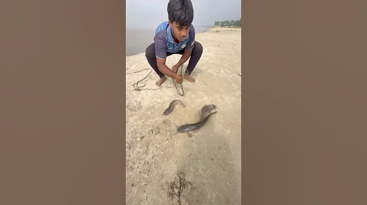 Village fishing in river by hook yarn with muddy water by catfish bait throwing  #fishinglife  #bait