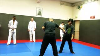 Pableo Eskrima Evalution, Demo Kali Eskrima With Viet Quyen Dao Club, France