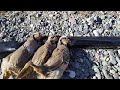 Разведка новых мест. Охота на кеклика в Кыргызстане. Chukar hunting. Chukar hunting in Kyrgyzstan.