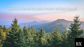 What Is a North Carolina Public Official Bond?