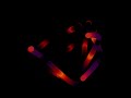 Painting with Pendulums, 3 Simultaneous Double Pendulums (2K)