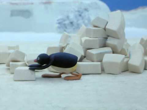 Pingu: Stavba iglu