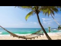 Relaxing Harp Music: Calm, Soothing, Soft, Ocean Nature Sounds | Instrumental Background Music ★56