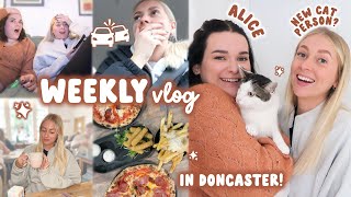 A WEEK OF CHAOS... learning to love cats & a car accident  WEEKLY VLOG