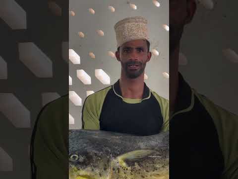 سوق مطرح للاسماك اكبر انواع السمك في عمان