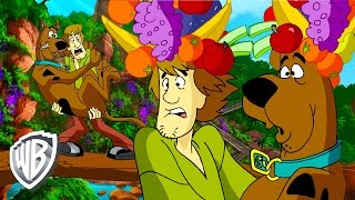 Scooby-Doo! | Jungle Food Hunt