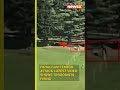Pahalgam Terror Attack New Video Surfaces Showing Terrorists Firing At Security Forces Pahalgam Terror Attack New Video Surfaces Showing Terrorists Firing At Security Forces