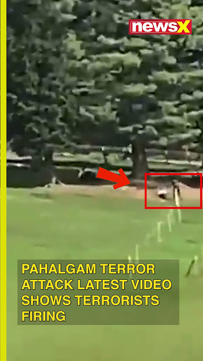 Pahalgam Terror Attack: New Video Surfaces Showing Terrorists Firing at Security Forces