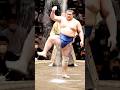 Sumo wrestling 🤼 in England #japan #sumo #sumowrestling #travel