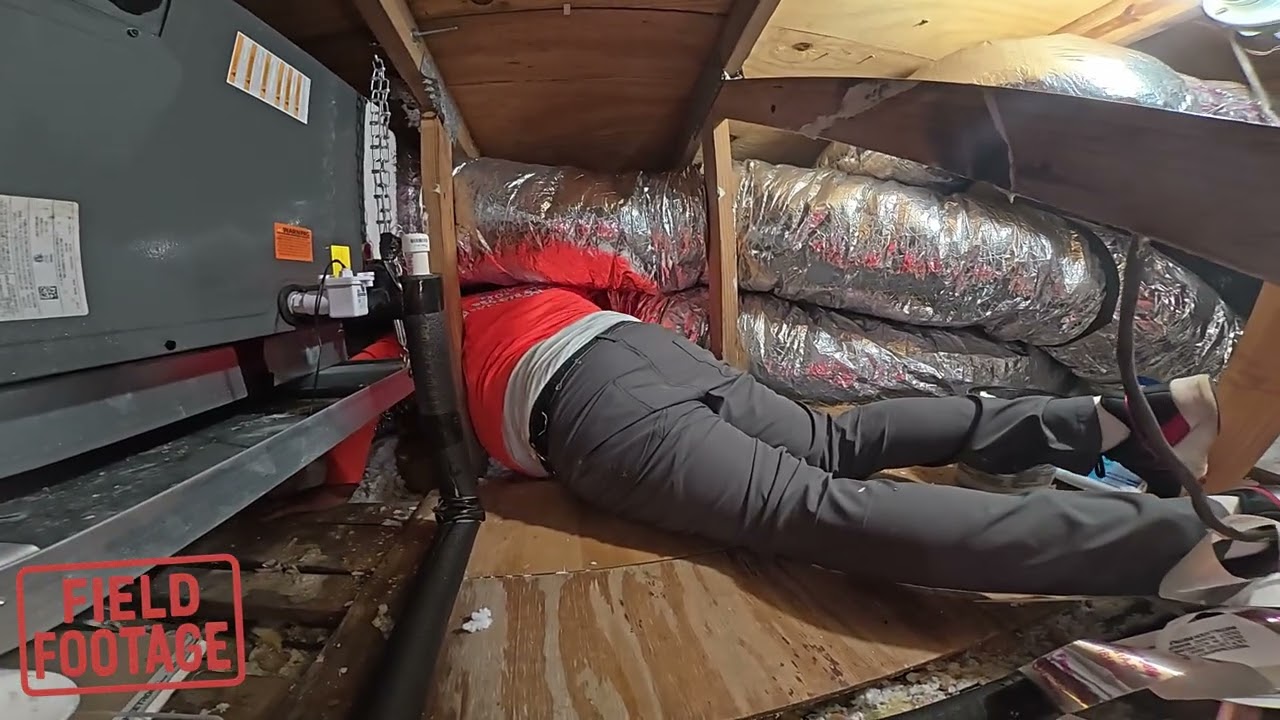 Big Man in an Attic- Cape Coral, FL 