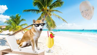 Doge Goes to 5Star Resort ⭐⭐⭐⭐⭐