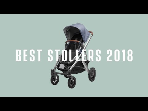 stuffskin stroller review