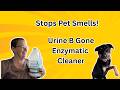 Say Goodbye to Pet Odors with Urine B Gone Enzymatic Cleaner